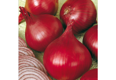 Red Baron Onion Sets